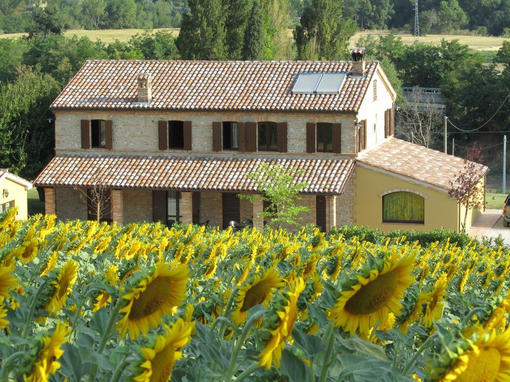 Гостьовий будинок Agriturismo La Vecchia Fonte Castelbellino Екстер'єр фото